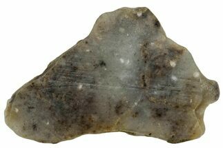 Lunar Meteorite ( g) Slice - Touat #303648