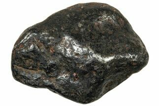 Agoudal Iron Meteorite ( g) - Morocco #303920