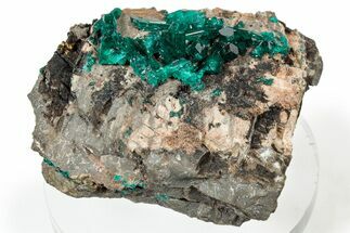 Lustrous Dioptase Crystals On Brown Rock - Congo #303822