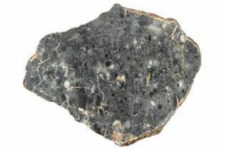 NWA 15373 Meteorites For Sale