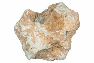 Lunar Meteorite Fragment ( g) - NWA #304115