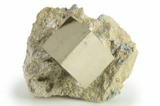 Natural Pyrite Cube In Rock - Navajun, Spain #304020