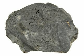 Eucrite Meteorite ( g) Section - From Vesta Minor-Planet #304276