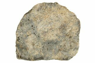 Eucrite Meteorite ( g) Section - From Vesta Minor-Planet #304290