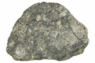Eucrite Meteorite ( g) Section - From Vesta Minor-Planet #304297