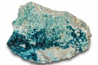 Vibrant Blue Veszelyite Cluster on Hemimorphite - Congo #304281