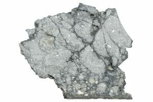 Lunar Meteorites - NWA 14188 For Sale - FossilEra.com