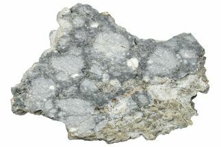 Gadamis Apollo Lunar Meteorite ( g) Slice #304322
