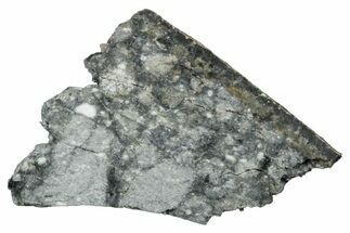 Gadamis Apollo Lunar Meteorite ( g) Slice #304328