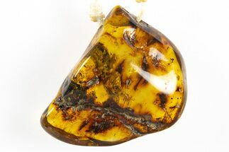 Polished Chiapas Amber ( g) Necklace - Mexico #304351