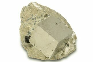 Two Natural Pyrite Cubes In Rock - Navajun, Spain #304051