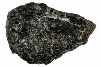 Ait Saoun EH/EH Chondrite Meteorite ( g) - Fresh Fall! #304165