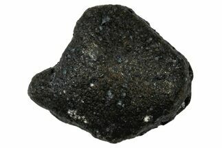 Ait Saoun EH/EH Chondrite Meteorite ( g) - Fresh Fall! #304181