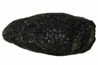 Ait Saoun EH/EH Chondrite Meteorite ( g) - Fresh Fall! #304188