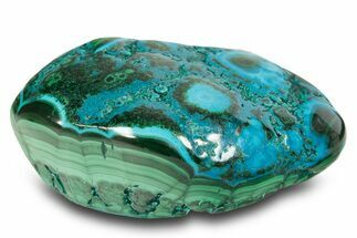 Vibrant Polished Malachite with Chrysocolla - DR Congo #305195