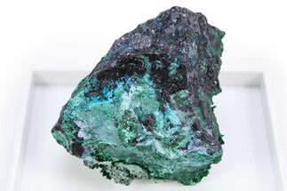 Rare Blue Buttgenbachite w/ Malachite & Cuprite - DR Congo #305424