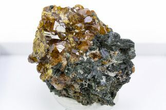 Lustrous Andradite (Topazolite) Garnets in Actinolite - Iran #305425