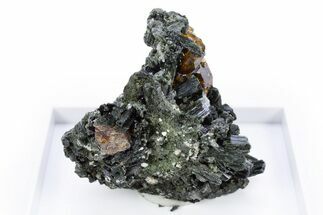 Lustrous Andradite (Topazolite) Garnets in Actinolite - Iran #305428