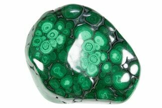 Polished Banded Malachite Specimen - DR Congo #305221