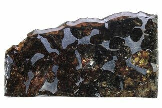 Seymchan Pallasite Meteorite Slice ( g) - Russia #305570