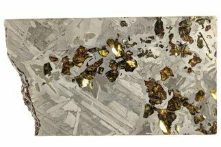 Seymchan Pallasite Meteorite Slice ( g) - Russia #305581