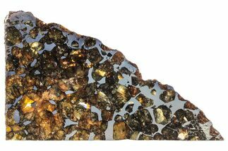 Seymchan Pallasite Meteorite Slice ( g) - Russia #305585