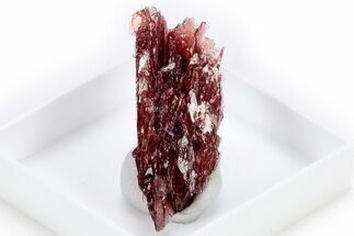 Lustrous Red Alurgite Crystal Cluster - South Africa #305474