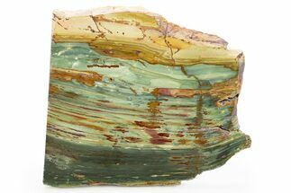 Gary Green Jasper (Larsonite) Bog Wood Slab - Oregon #302905