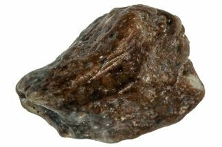 Lunar Meteorite ( g) - NWA #304871