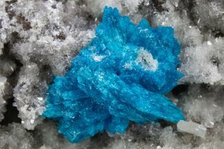 Vibrant Blue Cavansite Cluster on Stilbite - India #306073