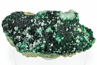 Cerussite Crystals on Sparkling Botryoidal Malachite - Congo #306085