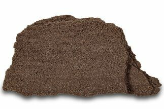 Permineralized Wood Covered In Sparkling Quartz - Germany #306963