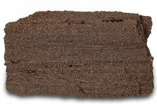 Permineralized Wood Covered In Sparkling Quartz - Germany #306966