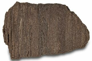 Permineralized Wood Covered In Sparkling Quartz - Germany #306985