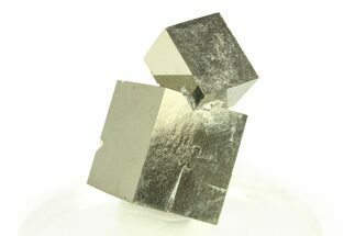 Shiny, Natural Pyrite Cube Cluster - Navajun, Spain #307085