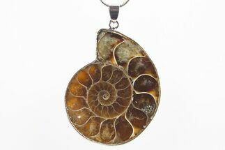 Fossil Ammonite Pendant - Million Years Old #306431