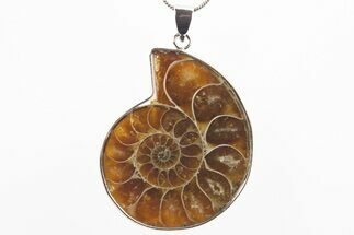 Fossil Ammonite Pendant - Million Years Old #306396