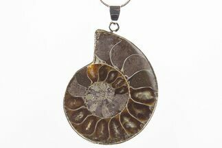 Fossil Ammonite Pendant - Million Years Old #306399