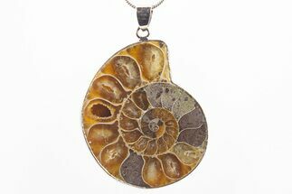 Fossil Ammonite Pendant - Million Years Old #306417