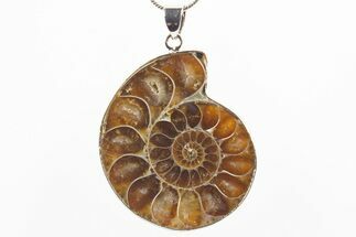 Fossil Ammonite Pendant - Million Years Old #306421