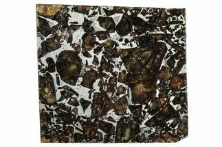 Polished Admire Pallasite Meteorite ( g) Slice - Kansas #307279