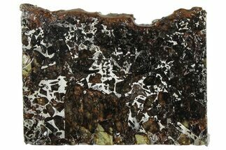 Polished Admire Pallasite Meteorite ( g) Slice - Kansas #307342