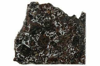 Polished Admire Pallasite Meteorite ( g) Slice - Kansas #307343