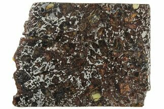 Polished Admire Pallasite Meteorite ( g) Slice - Kansas #307357