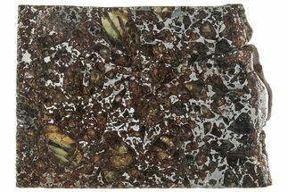 Polished Admire Pallasite Meteorite ( g) Slice - Kansas #307358