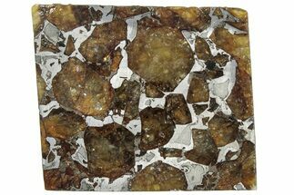 Brahin Pallasite Meteorite ( g) Slice - Belarus #307385