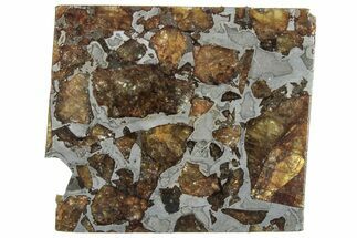 Brahin Pallasite Meteorite ( g) Slice - Belarus #307391