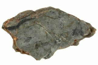 NWA Lunar Meteorite ( g) Slice #307546