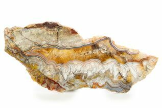 Crazy Lace Agate For Sale