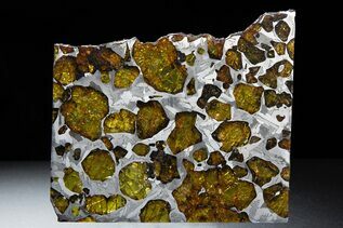 Pallasites For Sale